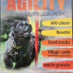 Salomé, Laeticia, Didier, Christine & Stéphanie, présentation du concours d’agility de Solesmes