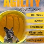 Retour sur le concours d’Agility à Solesmes (part 1)