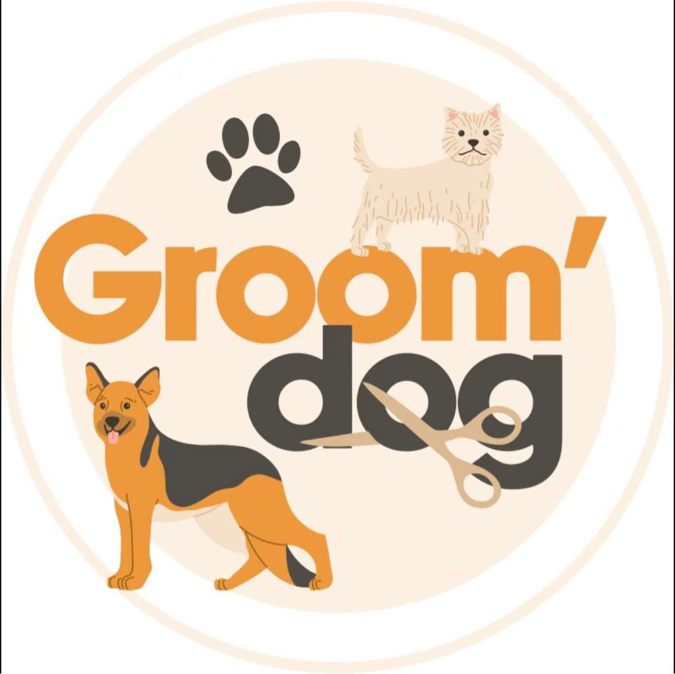 330381699_248145014213685_8363362647285764884_n (2)