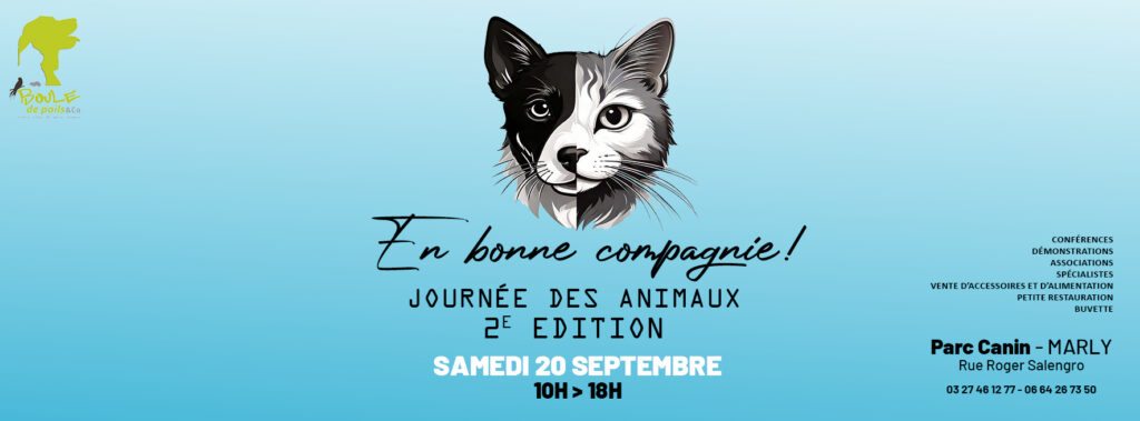 492402269_1098734348948494_6979326726683763049_n (3)