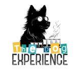 Laeticia Martel, créatrice de « The Dog Experience » sur Solesmes