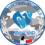 Allan Pisson, président de l’association Animaland