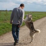 Alexandre Camberlein, musher de Marque-en-Ostrevent